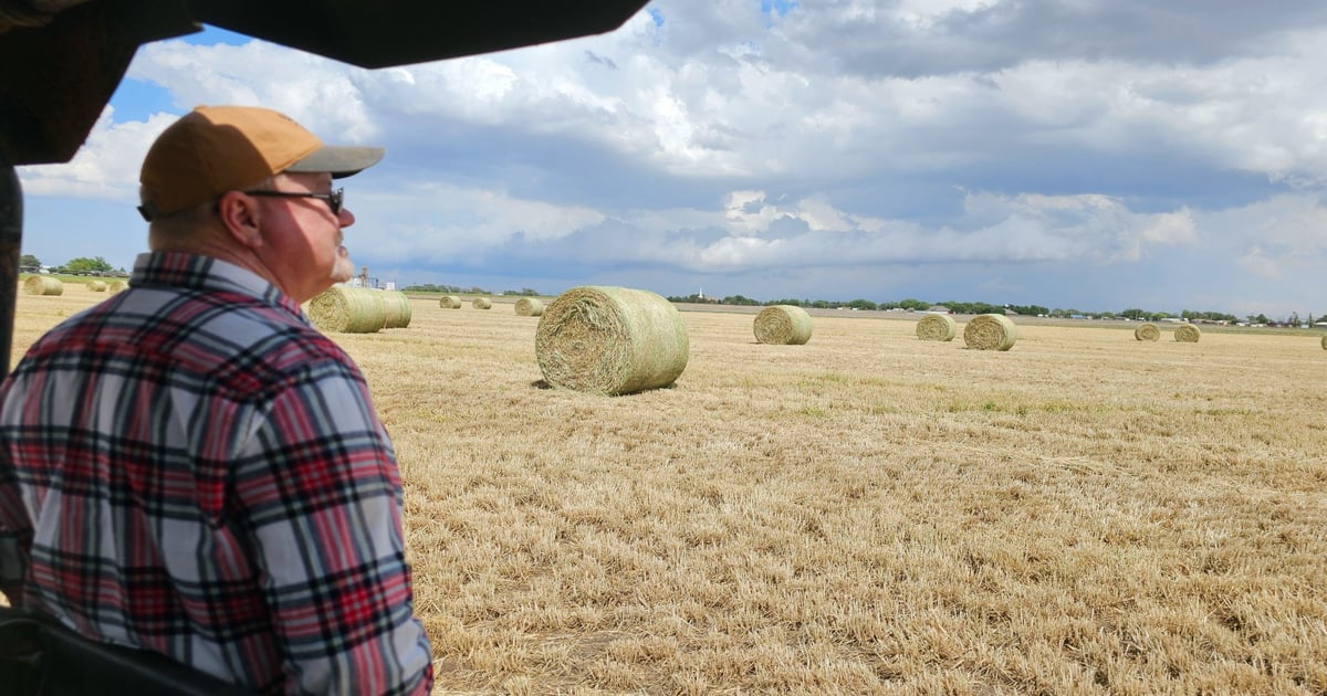 New poll: More farmers dissatisfied with Trump ag policies