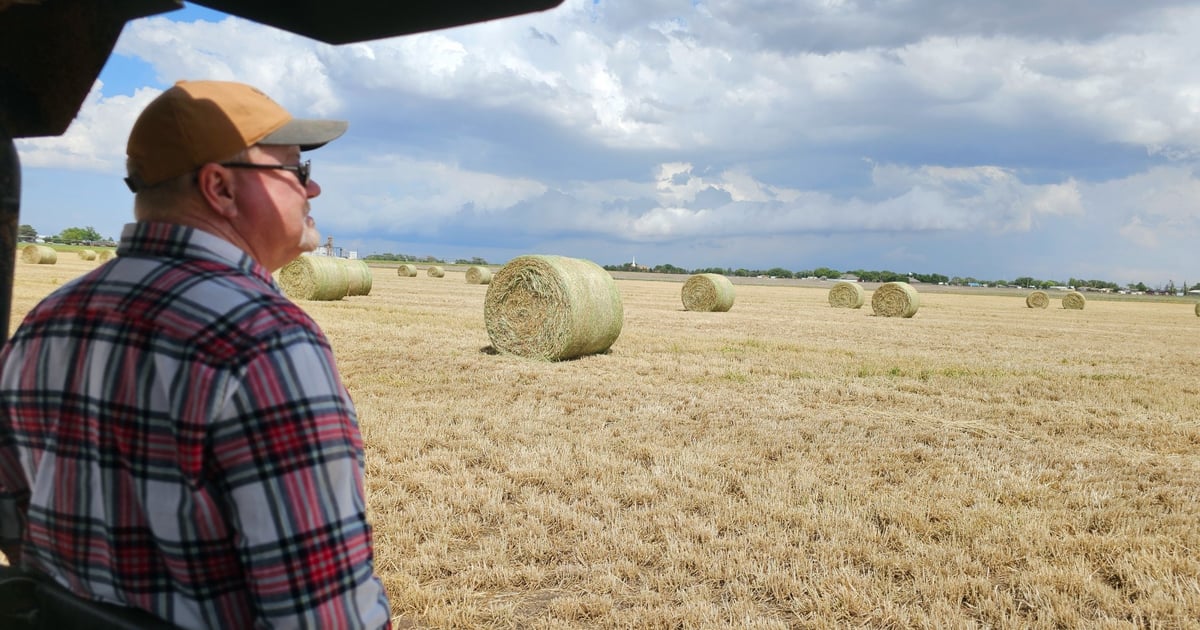 New poll: More farmers dissatisfied with Trump ag policies