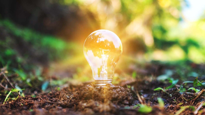 Light bulb in soil and plants