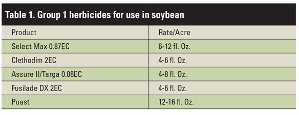 Herbicide for use in soybean table