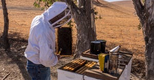 wfp-todd-fitchette-inspecting-honeybees-1.jpg