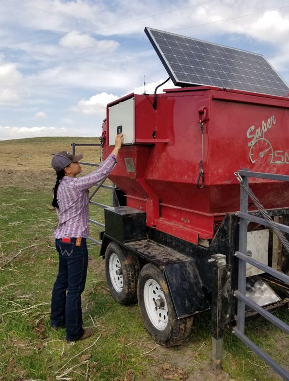 UNL graduate student, Selby Boeman calibrates the scales on the Smart Feeder 