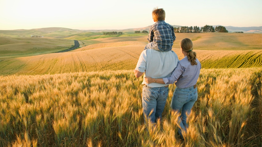A family admiring a wheat field