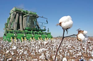 cotton-harvest-staff-dfp-8542.jpg