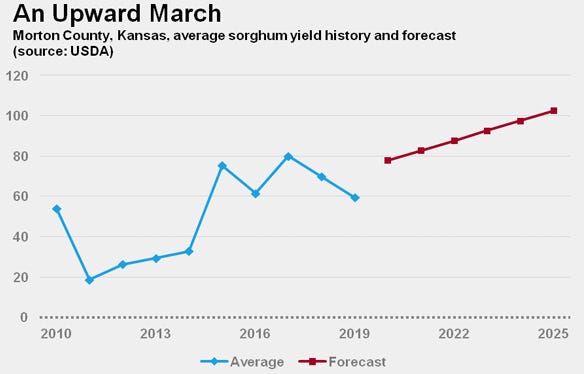 Morton county, average sorghum yield history and forecast