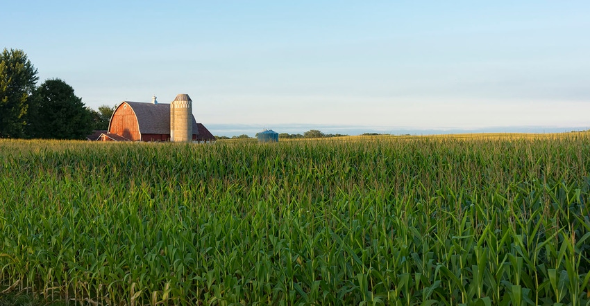 Corn field with barn and silo in background