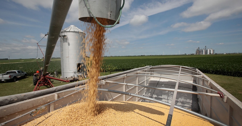 farmer unloading soybeans from bin into waiting truck.