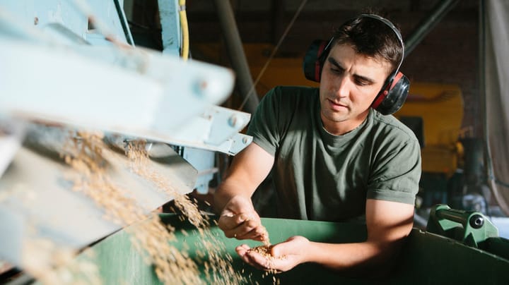 6 options to clean crop seed and save money