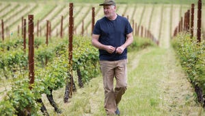 Tyson Crowley checks his own vineyard.
