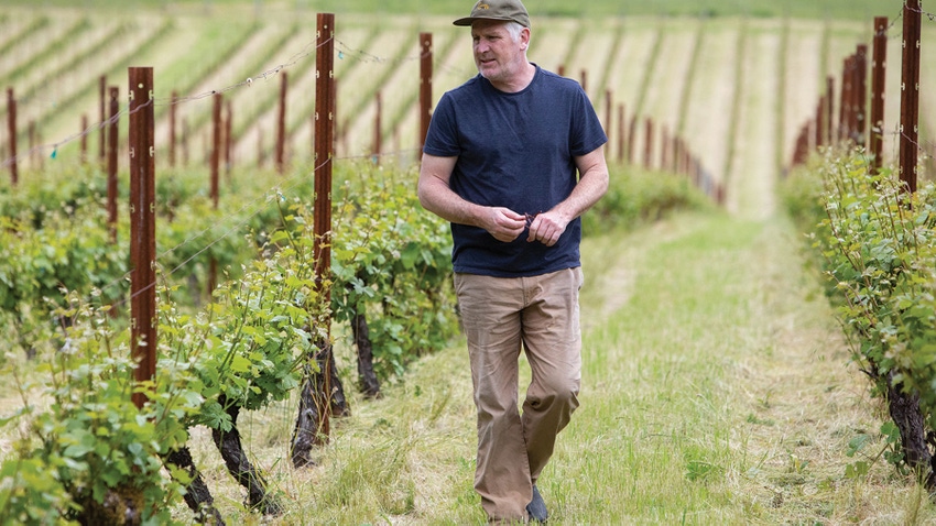 Tyson Crowley checks his own vineyard. Tyson Crowley checks his own vineyard.