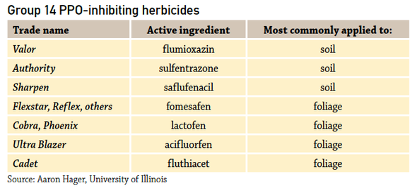Group 14 PPO-inhibiting herbicides