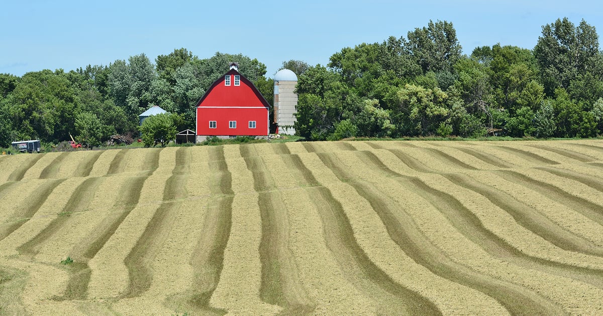 Lincoln County, SD, land sells for 9,600 per acre