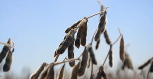 soybeans-harvest-new2.jpg