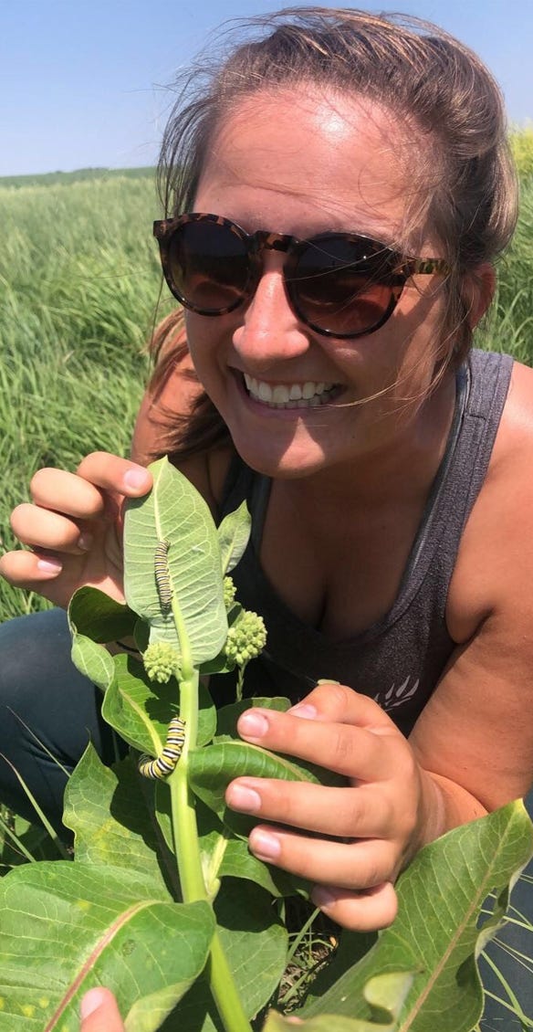 Water resources student intern Kate Lucas with monarch larvae found on milkweed 