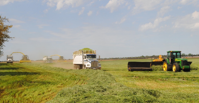 Silage being harvested