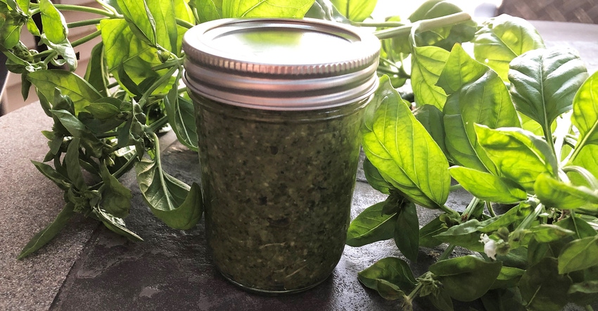 basil leaves and jar of homemade pesto