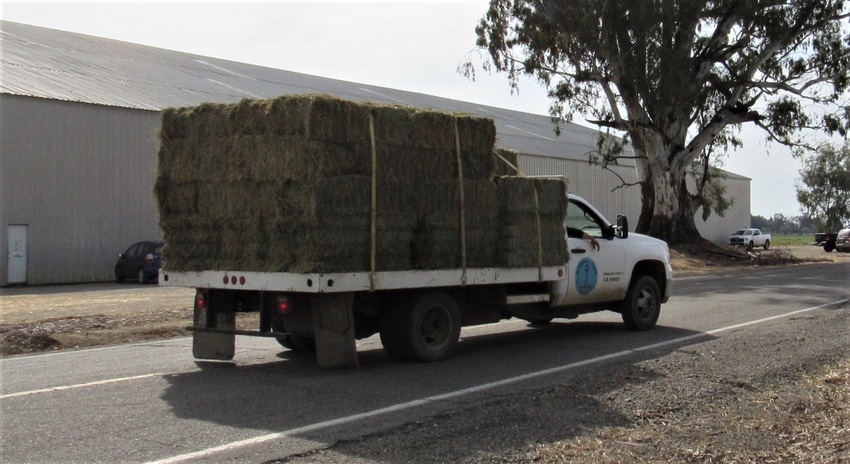 WFP-hearden-hay-truck.JPG