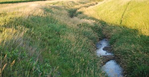 Stream and prairie grass