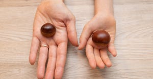 adult and child hand holding chestnuts