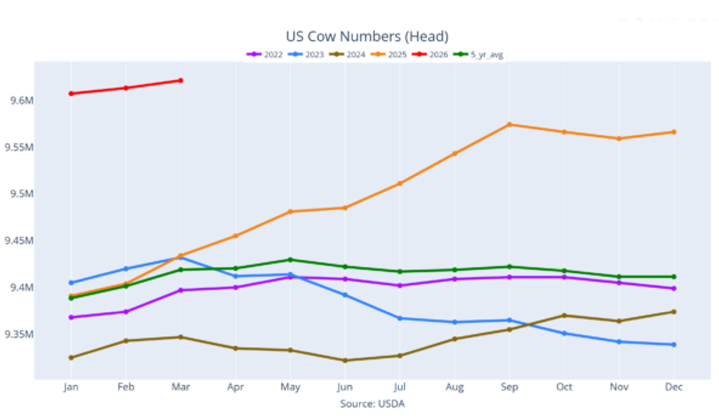 U.S. cow numbers 2022-2026