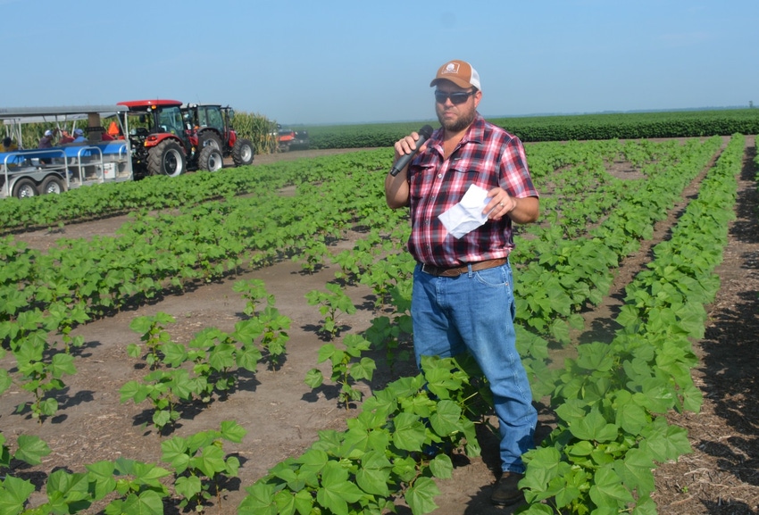John_Hart_Farm_Press_Guy_Collins_Cotton_Replanting.jpg John_Hart_Farm_Press_Guy_Collins_Cotton_Replanting.jpg