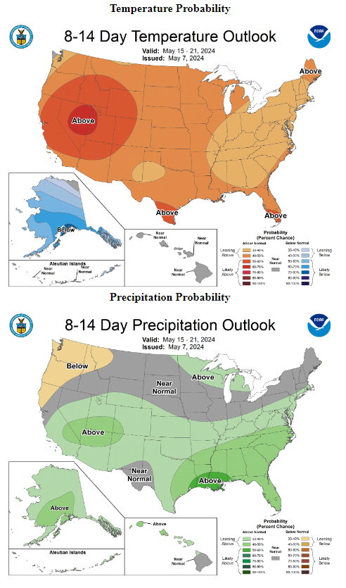 8-14 day precipitation and temperature outlook