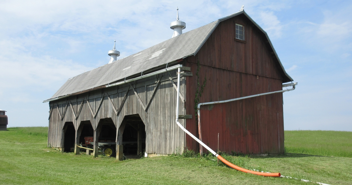 Cow By Log Barn  Old barns, Country barns, Farm life