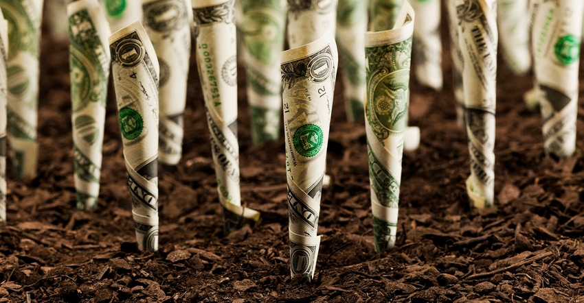 planted dollar bills planted dollar bills