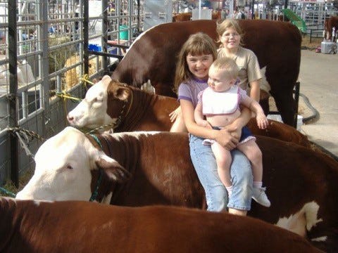 girls with cows at fair