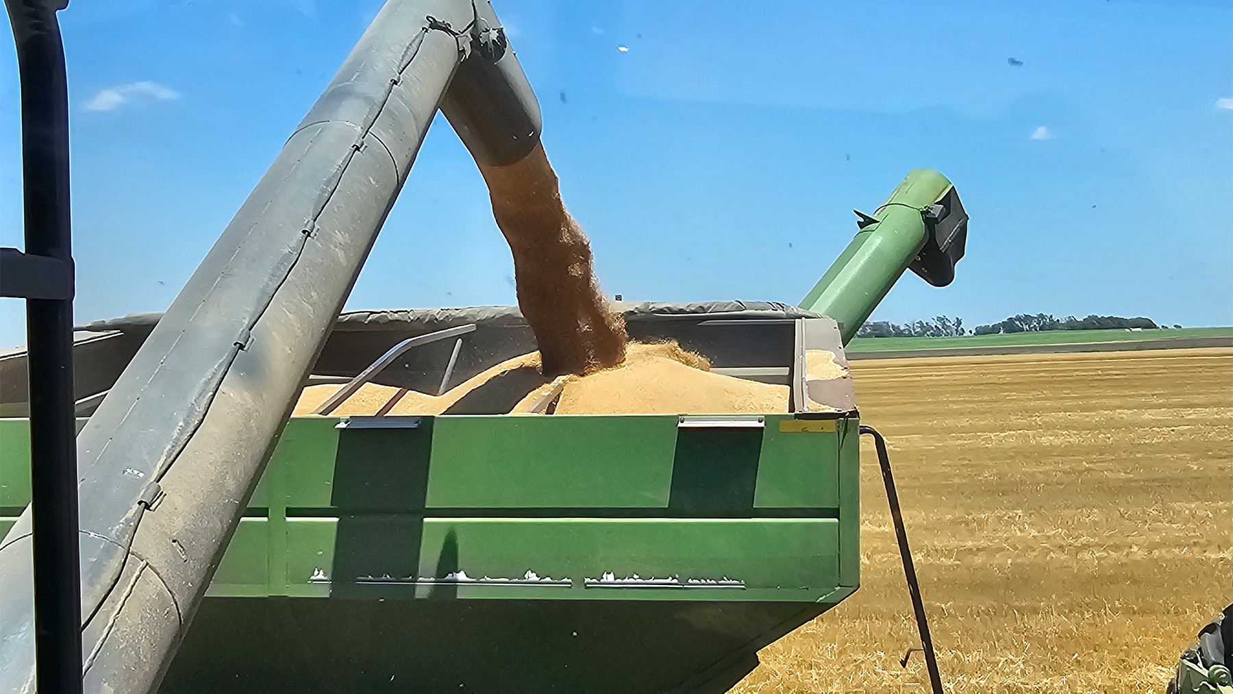 swfp-shelley-huguley-damron-wheat-unload.jpg