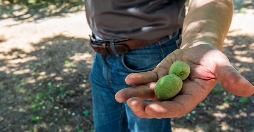 wfp-todd-fitchette-fresno-irrigation-district-water-34.jpg