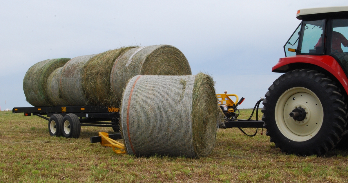 Drought Alters Crp Haying Grazing