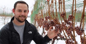 Thomas Todaro, MSU viticulture educator, shows a sample of grapes that were allowed to stay on the vine to be frozen, harvest