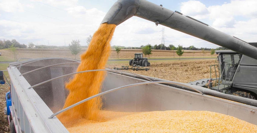 2-26-21 grain-harvest-stanley45-SIZED-465467033.jpg 2-26-21 grain-harvest-stanley45-SIZED-465467033.jpg