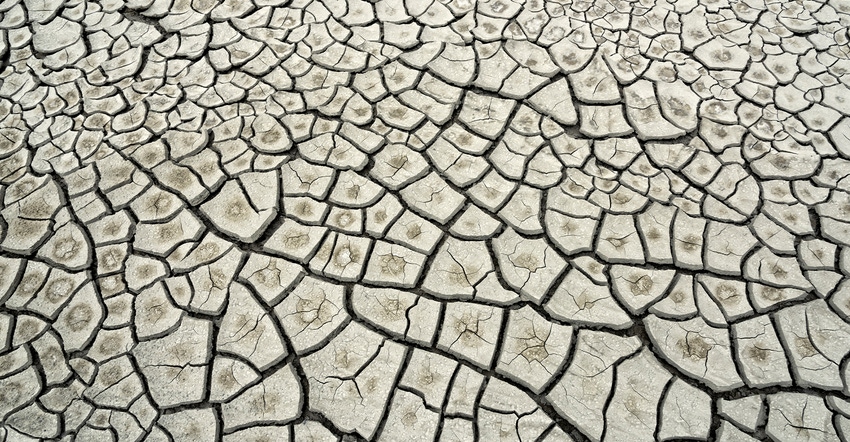 dried, cracked earth in drought conditions