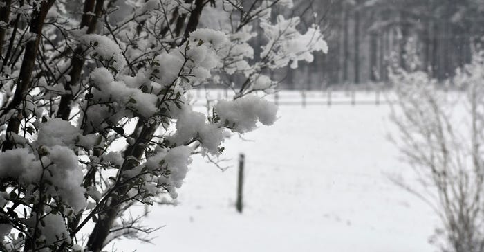 dfp-adismukes-snow-cover-shot.jpg dfp-adismukes-snow-cover-shot.jpg