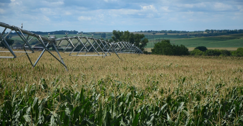Landscape view of corn fields at Grabenstein farms in Frontier and Dawson counties