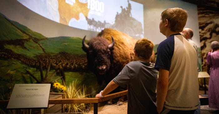 Kids looking at a buffalo stampede exhibit at The Boot Hill Museum
