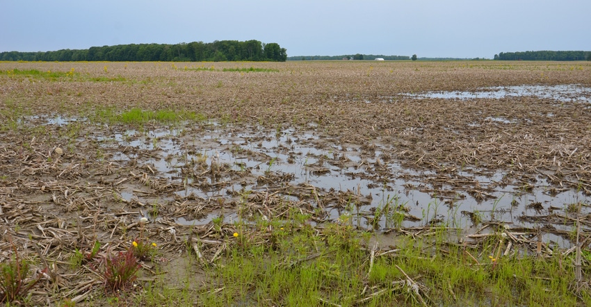 Panoramic view of wet, unplanted crop field