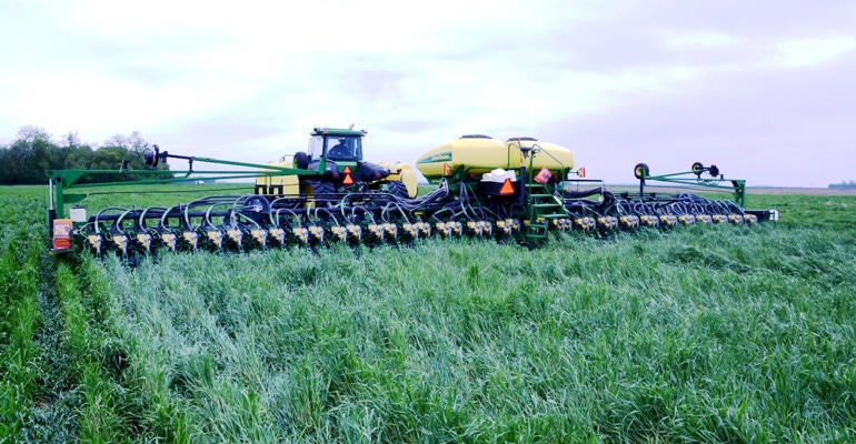 Tractor planting soybeans into a cover crop