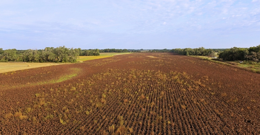 Demand for cropland continues to be strong, keep prices up in spite of low commodity prices and uncertainty in the economy. Demand for cropland continues to be strong, keep prices up in spite of low commodity prices and uncertainty in the economy.