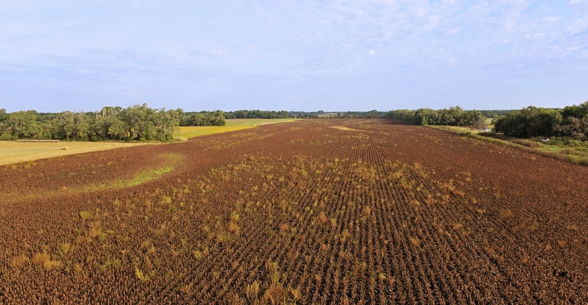 Demand for cropland continues to be strong, keep prices up in spite of low commodity prices and uncertainty in the economy. 