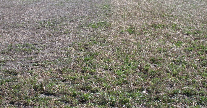 Photo 2 taken April 22 shows initial spring regrowth of the alfalfa field. 