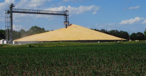 Large pile of grain