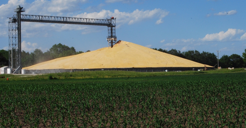 Large pile of grain