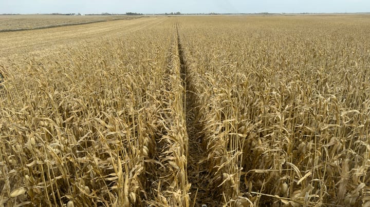 5 reasons why farmland sales are on an uptick