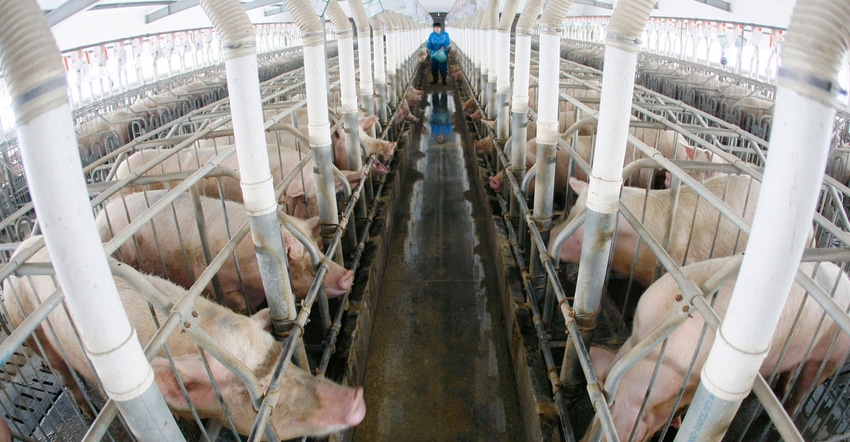 Long view of confinement hog barn with man in background