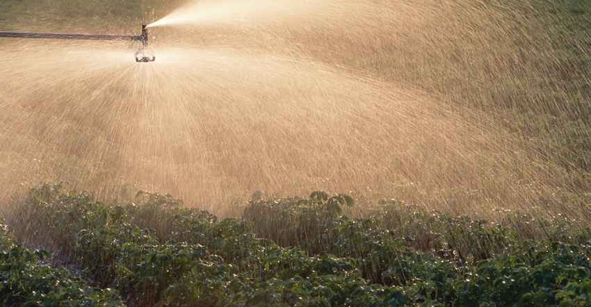 sprinkler watering crops