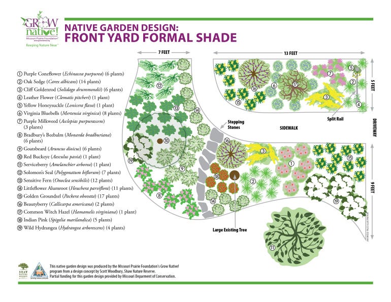 A design plan ideal for plants that need shade