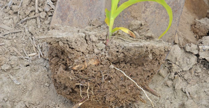 soil compaction on corn roots